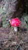 22092011153.jpg