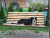 DSC01661.JPG