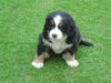 DSC01707.JPG