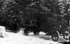 Holzfahrer_Winter_1915.jpg